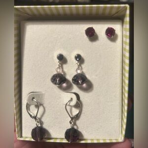 Elegant Silver, Purple and red Earring Set